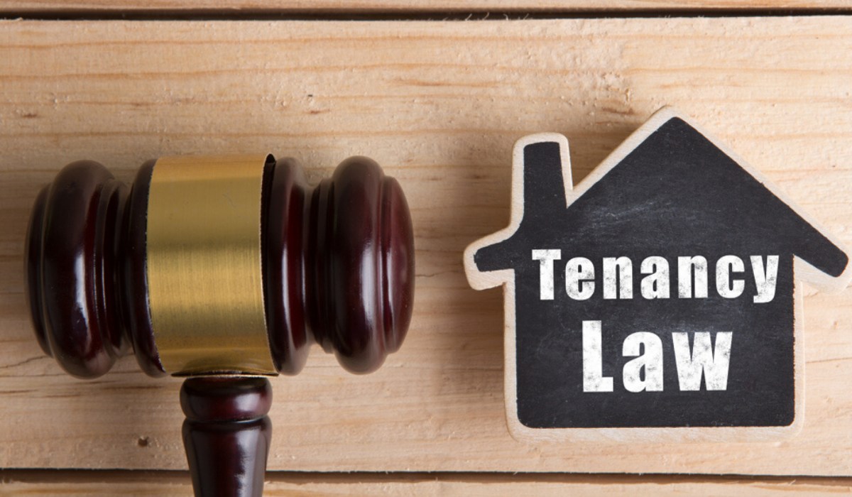 Model tenancy law